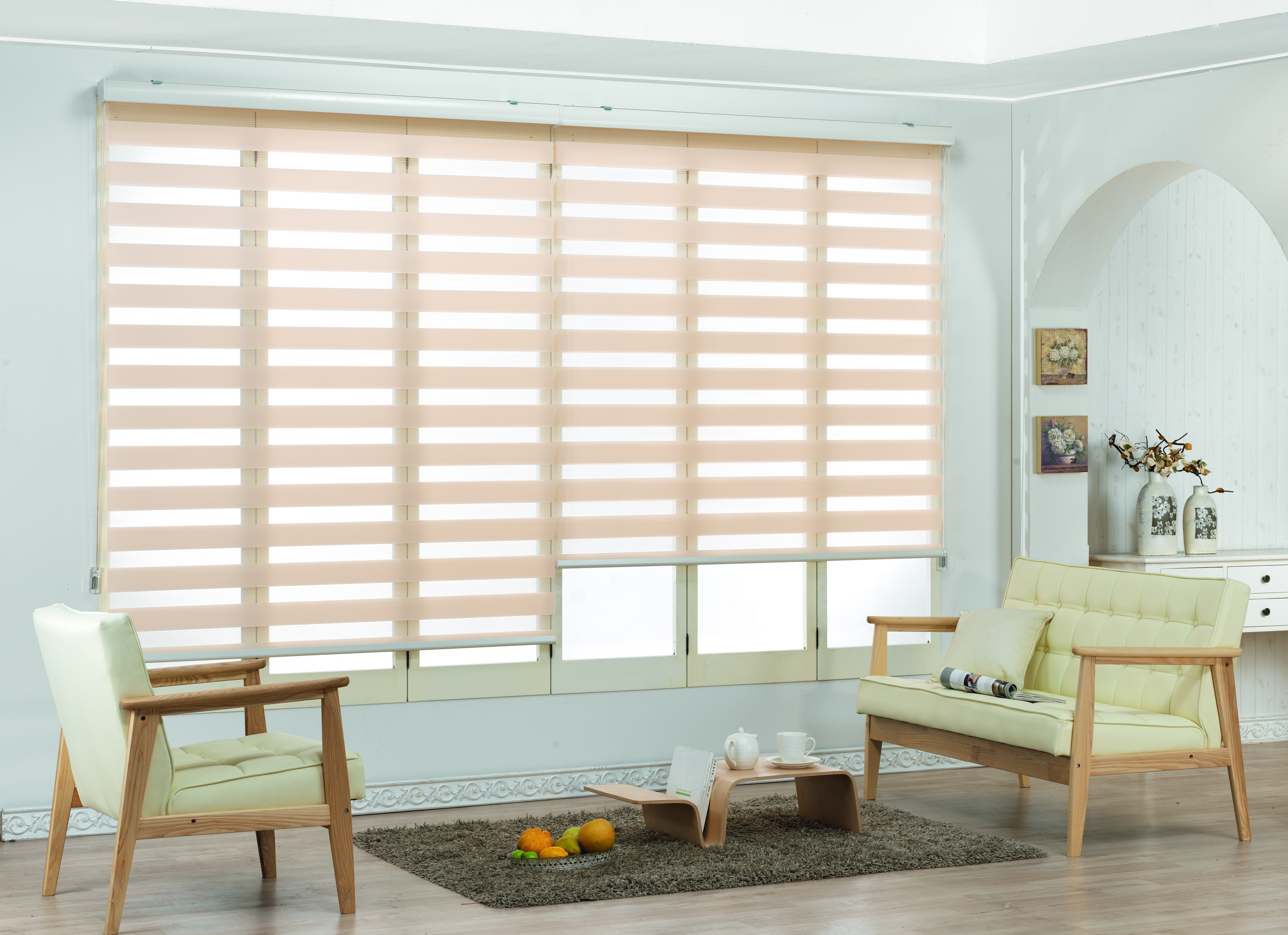 Zebra Blinds
